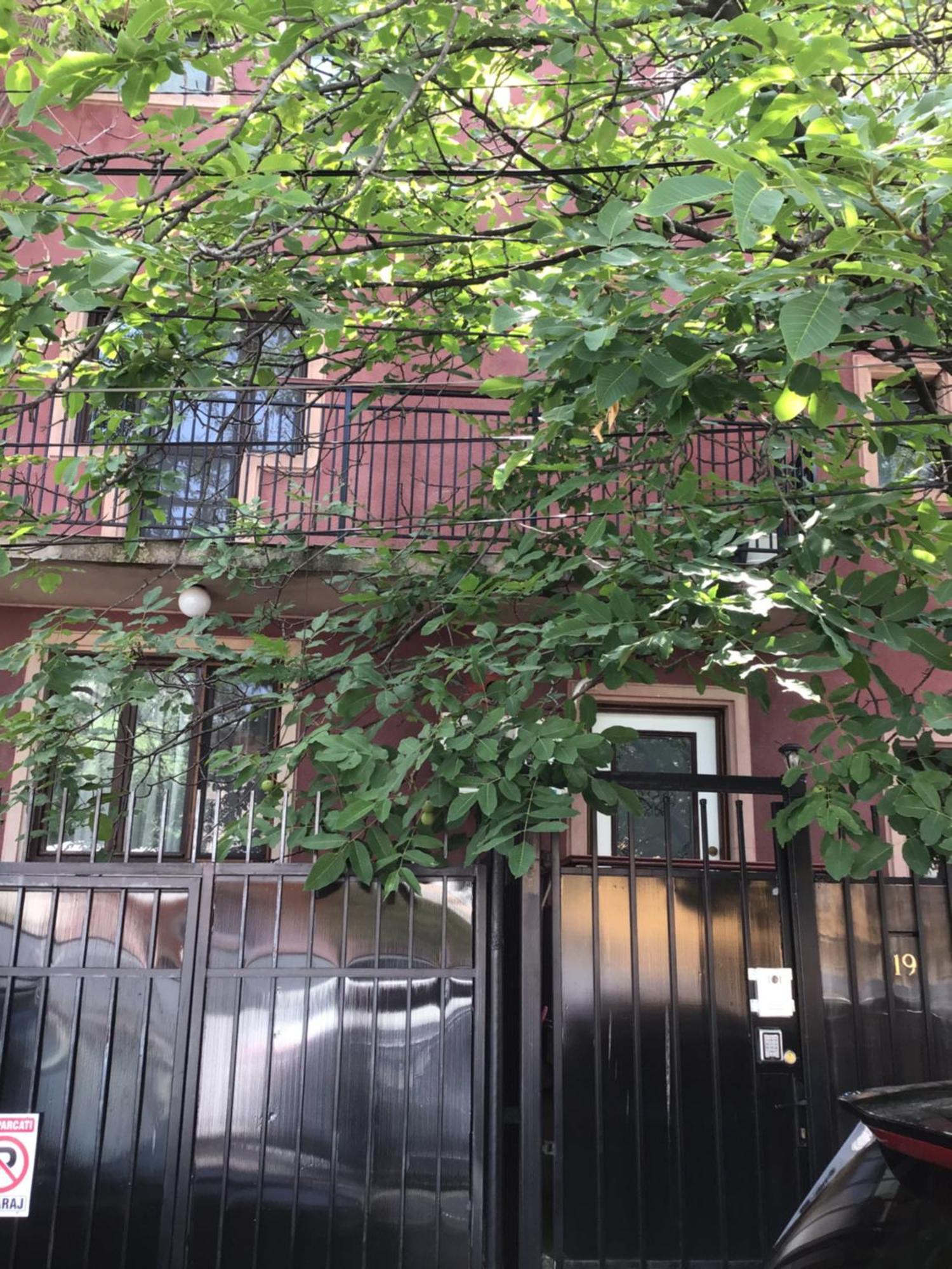 Rora Rose Hotel Bucharest Luaran gambar